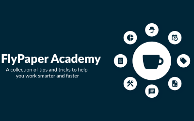 FlyPaper Academy continues