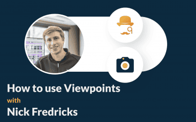 How to use Viewpoints